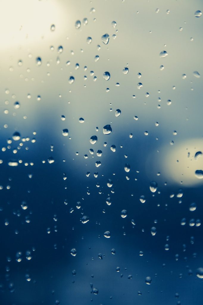 Absorbowanie wilgoci – uniknij deszczu kontenerowego